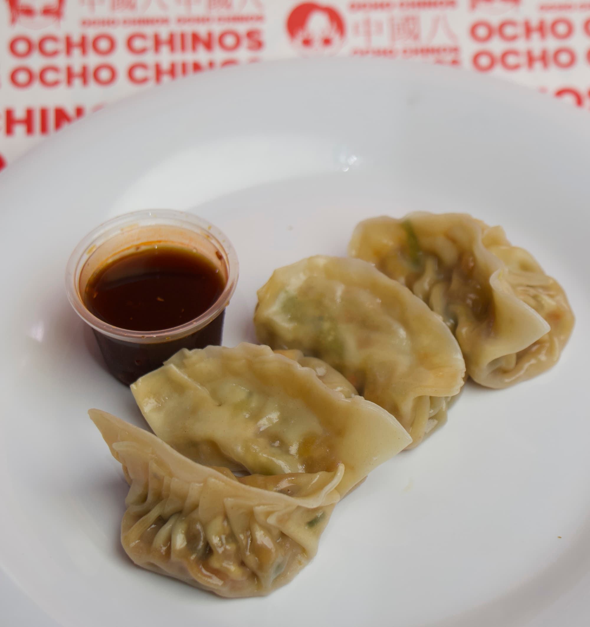 Gyozas de Vegetales