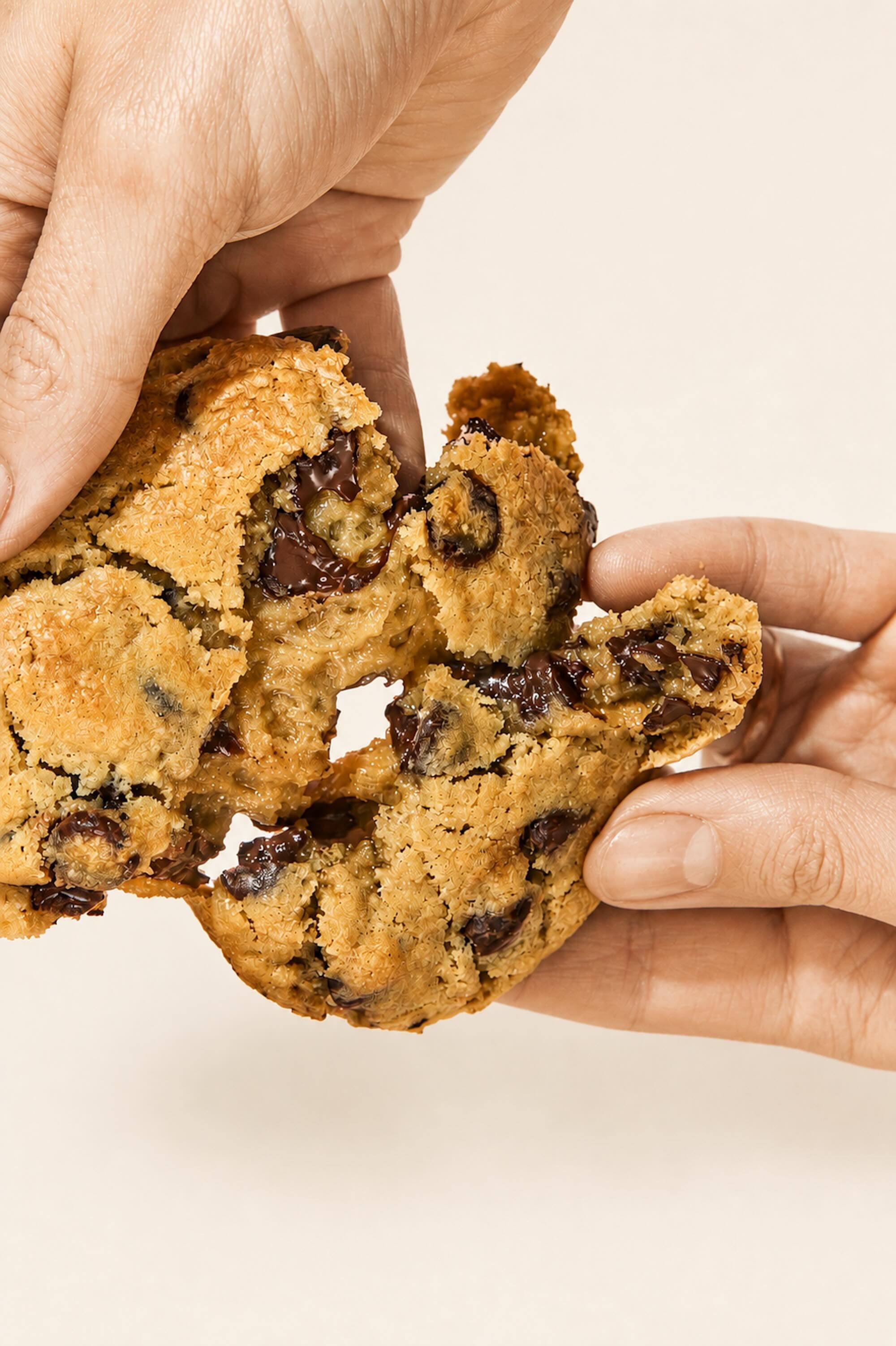 Freshly-Baked Choco Chip